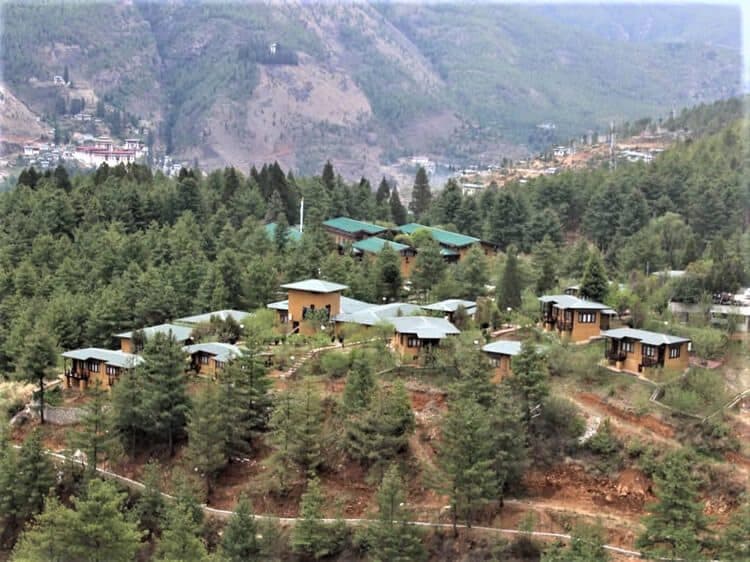 Cottages scattered across a pine-covered hillside